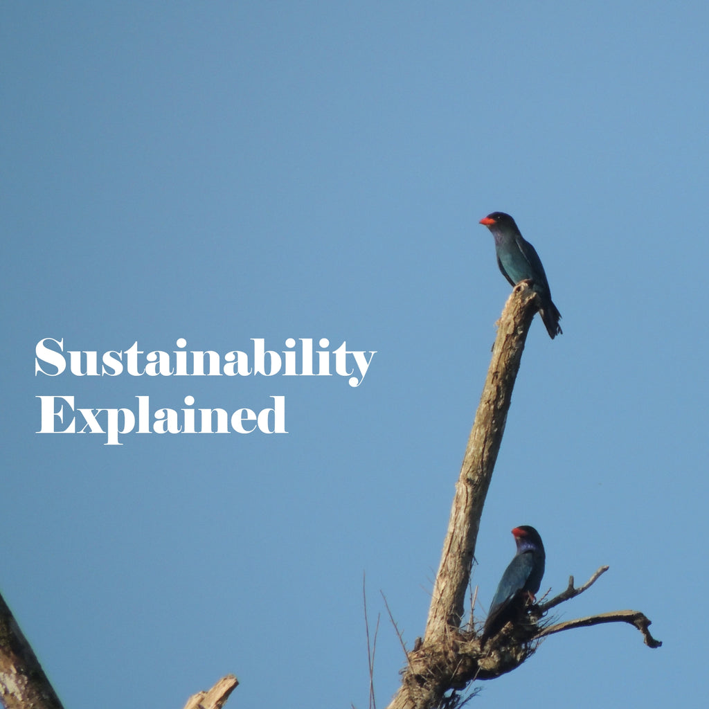 Sustainability explained